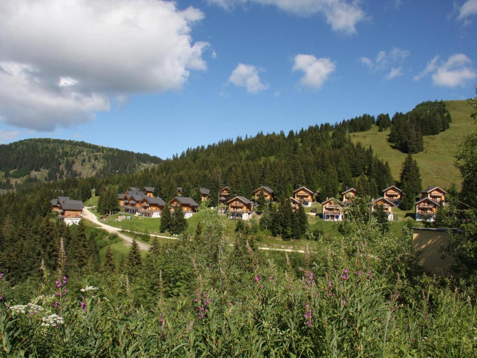 Chalet Bergoase Villa Elsenbrunn Exterior photo